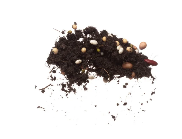 Soil Fertilizer Mixed Multi Kind Bean Fall Fly Mixed Beans — Stock Photo, Image