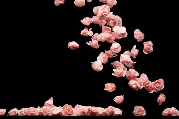 Różowy Mały Kwiat Róży Wybuch Wiele Styropianowe Róże Przedstawić Miłość — Zdjęcie stockowe