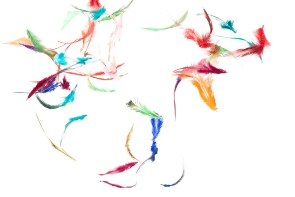 Viele Farbe Feder Fliegen Fallen Schöne Spiralmuster Der Luft Über — Stockfoto