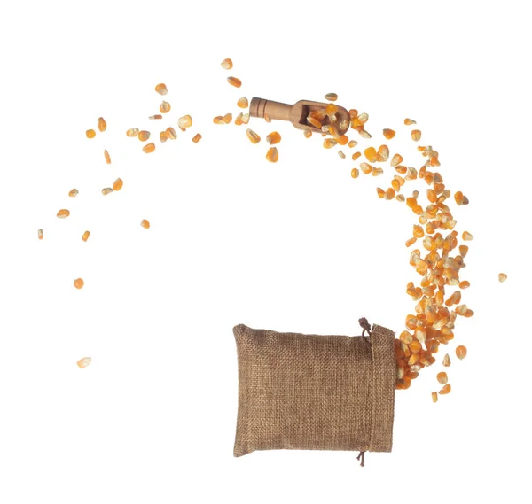 Maïsgedroogde Zaden Vliegen Een Zak Gele Gouden Maïs Zaad Vallen — Stockfoto