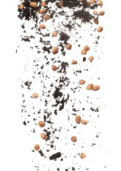 Арахисовая Бобовая Смесь Почвы Взрывается Мухой Арахисовые Бобы Почвенные Удобрения — стоковое фото