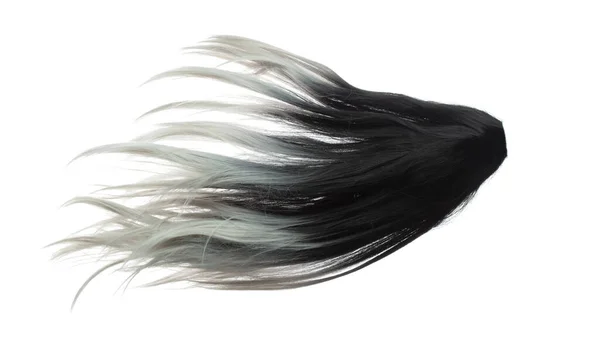 Two Tone Wig Hair Style Fly Fall Explosion White Black — Stock Photo, Image