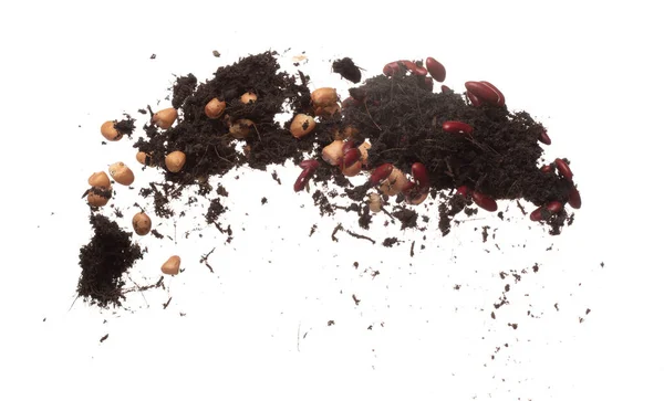 Soil Dirt Red Bean Mix Fly Exploze Ledvinové Fazole Hnojivo — Stock fotografie