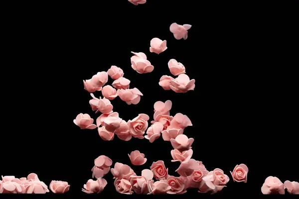 Rosa Pequeña Flor Rosa Explosión Muchas Rosas Poliestireno Presentan Amor —  Fotos de Stock