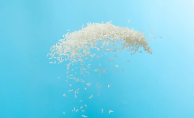 Beyaz pirinç taneleri havada uçar. Rice 'ın dağılmasına hazır olun. Patlama şekil grubunda yüzüyor. Mavi arkaplan izole edilmiş dondurucu hareket