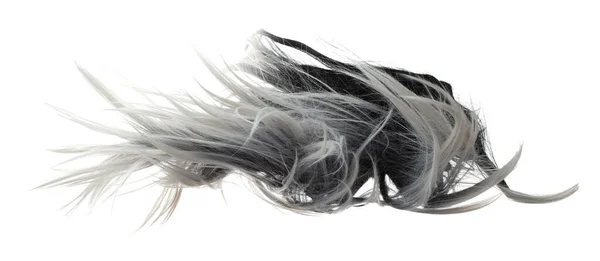 Wind Blow Long Wavy Straight Wig Hair Style Fly Fall — Stock Photo, Image