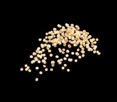 Soya fasulyesi patlaması, sarı fasulye soyut bulut sineği patlaması. Havaya bezelye tohumu serpilmesi, yiyecek nesnesi tasarımı. Seçici odak dondurucu çekim siyah arkaplan izole