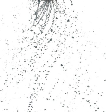 Havada uçuşan gri boya sıvısı. Gri Çamur kirli su rengi toprak dökülüyor, patlama şekil değiştirip damlacıklar halinde yüzüyor. Beyaz arkaplan izole edilmiş yüksek hız deklanşörü