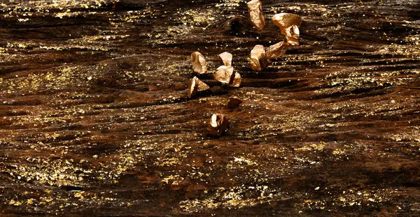 Old wood with gold ore mineral material in fossil wood stone. Gold leaf decorate on wooden background as wallpaper with gold nugget