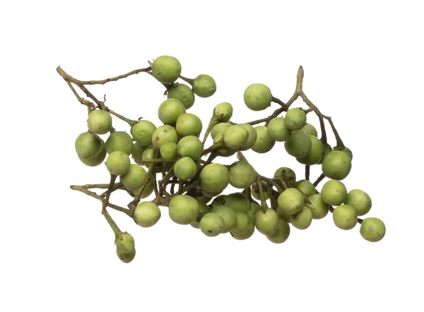Green Berry Aubergine Vallen Green Berry Aubergine Voor Het Planten — Stockfoto