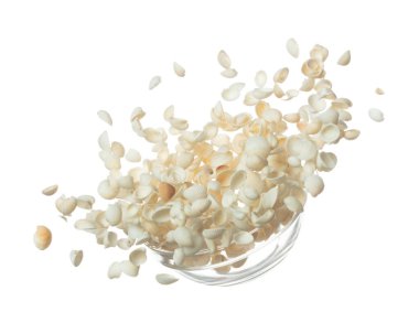 Deniz kabuğu havaya sıçrıyor. Deniz kabuğu patlaması, soyut bulut sineği. Birçok küçük beyaz deniz kabuğu birçok grupta dağılır. Beyaz arkaplan yüksek hız deklanşör dondurma hareketini izole etti