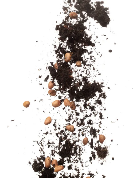 Soil Dirt Peanut Bean Mix Fall Fly Explosion Peanut Bean — Stock Photo, Image