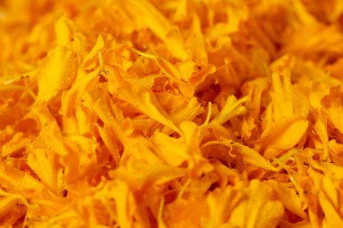 Makro sarı Marigold yaprakları yığınını kapat. Aşk, romantizm ve sarı düğünün ve dini törenin kutlanması. Tatlı su için ballı marigold yaprakları yığın.