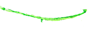 Doğadan gelen yeşil meyve suyu havaya sıçrar. Su yeşili yapraklar gökyüzünden dökülür ve saf doğal olarak arıtılır. Beyaz arkaplan üzerine su sıçrayan birçok şekil biçimi izole edildi.