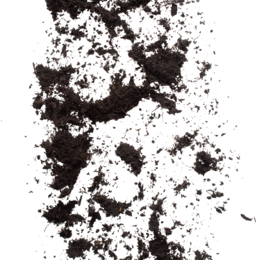 Kara gübre ekilmeye hazır, iyi organik topraklar bahçe çiftçiliği için kök salmış, ince bir toprak parçası havayı tozla kaplıyor. Beyaz arkaplan üzerinde yüksek hız dondurucu çekim izole edildi.