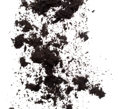 Kara gübre ekilmeye hazır, iyi organik topraklar bahçe çiftçiliği için kök salmış, ince bir toprak parçası havayı tozla kaplıyor. Beyaz arkaplan üzerinde yüksek hız dondurucu çekim izole edildi.