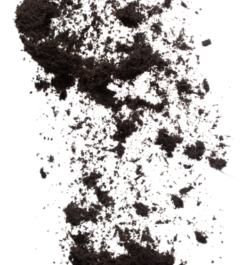 Kara gübre ekilmeye hazır, iyi organik topraklar bahçe çiftçiliği için kök salmış, ince bir toprak parçası havayı tozla kaplıyor. Beyaz arkaplan üzerinde yüksek hız dondurucu çekim izole edildi.