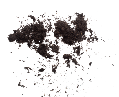 Kara gübre ekilmeye hazır, iyi organik topraklar bahçe çiftçiliği için kök salmış, ince bir toprak parçası havayı tozla kaplıyor. Beyaz arkaplan üzerinde yüksek hız dondurucu çekim izole edildi.