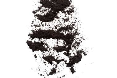 Kara gübre ekilmeye hazır, iyi organik topraklar bahçe çiftçiliği için kök salmış, ince bir toprak parçası havayı tozla kaplıyor. Beyaz arkaplan üzerinde yüksek hız dondurucu çekim izole edildi.