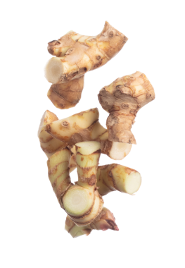 Galangal havada uçuyor, taze sebze baharatı kabuğu düşüyor. Organik taze bitkisel galangal kökü kafa kesimi, kesik kesik doku. Beyaz arkaplan izole edilmiş yüksek hız deklanşörü