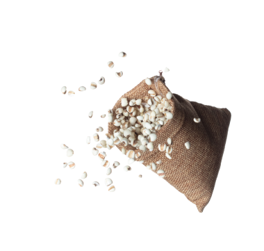 Job's Tear flying in sack bag, white grain job tear float abstract cloud fly. Beautiful job's tear sack bag splash in air, food object design. Wooden background isolated high speed freeze motion