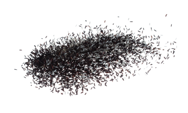 Riceberry mix white rice explosion flying, black purple berry grain wave floating, fall down in air. RiceBerry mix white rice is organic healthy food. White background Isolated high speed shutter
