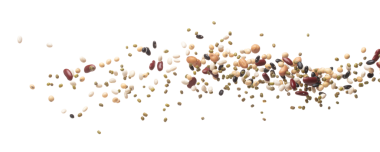 Mix beans fall down explosion, several kind bean float explode. Dried mixed white green red soy black peanut beans splash throwing in Air. White background Isolated high speed shutter, freeze