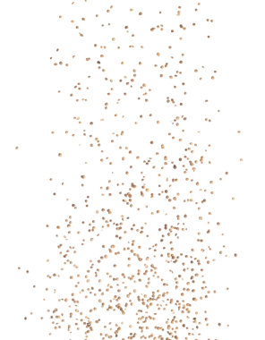 Coriander seed fall down in group, brown coriander seed float explode, abstract cloud fly. Dried coriander seeds splash throwing in Air. White background Isolated high speed shutter, freeze motion