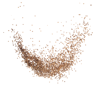 Coriander seed fly explosion, brown coriander seed float explode, abstract cloud fly. Dried coriander seeds splash throwing in Air. White background Isolated high speed shutter, freeze motion