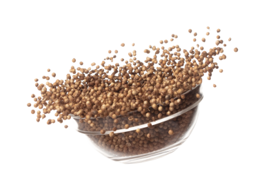Coriander seed fly throw up in glass bowl, brown coriander seed float explode, abstract cloud fly. Dried coriander seeds splash throwing in Air. White background Isolated high speed shutter, freeze
