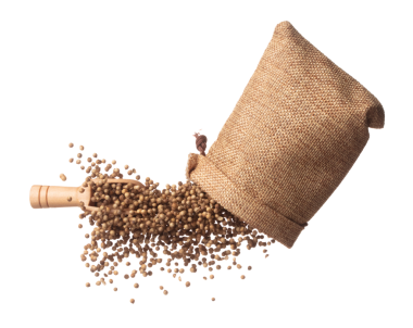 Coriander seed fly throw up in Sack Bag, brown coriander seed float explode, abstract cloud fly. Dried coriander seeds splash throwing in Air. White background Isolated high speed shutter, freeze