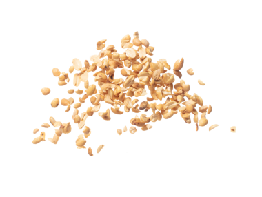 Roasted Peanut bean fly explosion group, Roasted Peanut bean float explode, abstract cloud fly. Roasted Peanut beans splash throwing in Air. White background Isolated high speed shutter, freeze motion