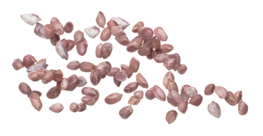 Boiled peanut fly explosion, boiled peanut bean fall down pour mix inside peel off. Tropical boiled peanut throw in air. White background Isolated high speed shutter, freeze action