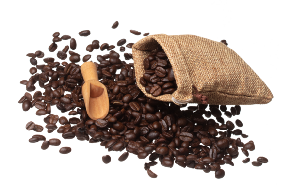 Coffee bean fall down pour in sack bag, Coffee seeds float explode, abstract cloud fly. Coffee beans splash throwing in Air. White background Isolated high speed shutter, freeze motion