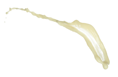 Soya fasulyesi tohumu soya sütü düzgün bir şekilde dökülür. Soya fasulyesi sütü damlaya damlaya damlaya damlaya damlaya dökülür boya rengi olarak. Beyaz arkaplan yüksek hız deklanşör dondurma hareketini izole etti