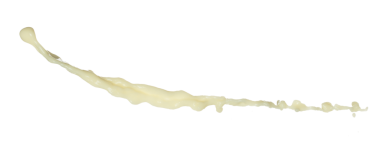 Soya fasulyesi tohumu soya sütü düzgün bir şekilde dökülür. Soya fasulyesi sütü damlaya damlaya damlaya damlaya damlaya dökülür boya rengi olarak. Beyaz arkaplan yüksek hız deklanşör dondurma hareketini izole etti