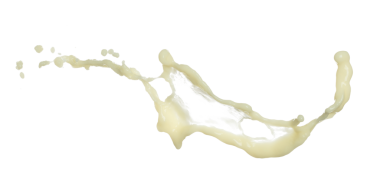 Soya fasulyesi tohumu soya sütü düzgün bir şekilde dökülür. Soya fasulyesi sütü damlaya damlaya damlaya damlaya damlaya dökülür boya rengi olarak. Beyaz arkaplan yüksek hız deklanşör dondurma hareketini izole etti