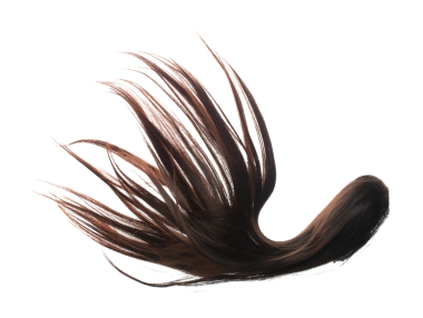 Uzun düz peruk tarzı sineklerin düşüşü patlaması. Siyah esmer kadın peruk uzantısı havada süzülüyor. Düz peruk uzantısı rüzgar bulutu fırlatması. Beyaz arkaplan yüksek hızda izole edildi