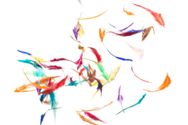 Birçok renk tüy sineği siyah zemin üzerinde havada güzel spiral desen oluşturur. Kabarık yumuşak tüyler, gökte süzülen bir güvercin gibi. Renkli tüyler çok hafif ve narindir.