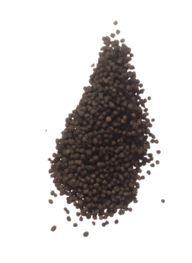 Gübre kahverengi kimyasallar büyümeyi hızlandırıyor sinek patlaması, havada yüzen gübre için çok sayıda küçük top gübresi. Beyaz arkaplan yüksek hız dondurma hareketini izole etti