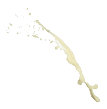 Soya fasulyesi tohumu soya sütü düzgün bir şekilde dökülür. Soya fasulyesi sütü damlaya damlaya damlaya damlaya damlaya dökülür boya rengi olarak. Beyaz arkaplan yüksek hız deklanşör dondurma hareketini izole etti