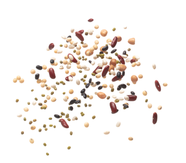 Mix beans fall down explosion, several kind bean float explode. Dried mixed white green red soy black peanut beans splash throwing in Air. White background Isolated high speed shutter, freeze