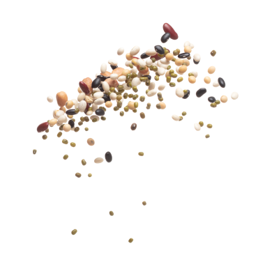 Mix beans fall down explosion, several kind bean float explode. Dried mixed white green red soy black peanut beans splash throwing in Air. White background Isolated high speed shutter, freeze