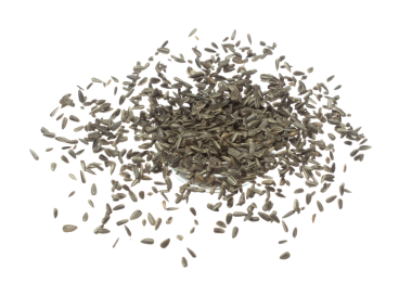 Ayçiçeği tohumu kabın içinde uçar. Ayçiçeği tohumu dökülüyor, patlama şekil çizgisi şeklinde yüzüyor. Beyaz arkaplan izole edilmiş yüksek hız deklanşörü