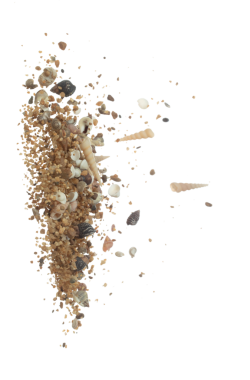 Deniz kabuğu kumu havaya sıçrıyor. Deniz kabuğu patlaması, kum bulutu sineği. Birçok Deniz kabuğu birçok grupta dağılır. Beyaz arkaplan yüksek hız deklanşör dondurma hareketini izole etti