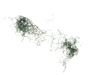 Yeşil Konfeti çöp kağıdı havaya sıçrıyor. Dark Confetti kağıt patlamasını uçuruyor, soyut bulut sineği. Birçok Parti simleri birçok grupta dağılır. Beyaz arkaplan izole