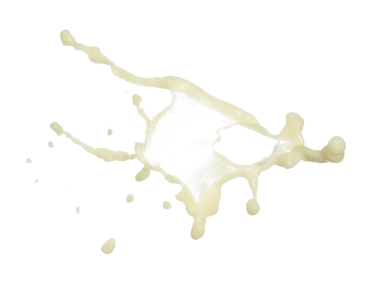 Soya fasulyesi tohumu soya sütü düzgün bir şekilde dökülür. Soya fasulyesi sütü damlaya damlaya damlaya damlaya damlaya dökülür boya rengi olarak. Beyaz arkaplan yüksek hız deklanşör dondurma hareketini izole etti