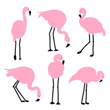 Pembe flamingo seti. Farklı pozlarda egzotik kuşlar. Beyaz bir arka planda izole edilmiş. Vektör illüstrasyonu.