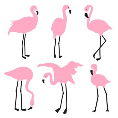 Pembe flamingo seti. Farklı pozlarda egzotik kuşlar. Beyaz bir arka planda izole edilmiş. Vektör illüstrasyonu.