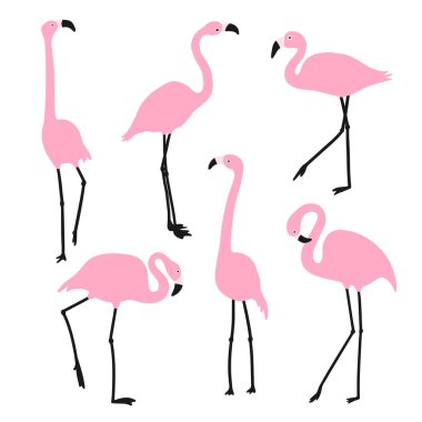 Pembe flamingo seti. Farklı pozlarda egzotik kuşlar. Beyaz bir arka planda izole edilmiş. Vektör illüstrasyonu.